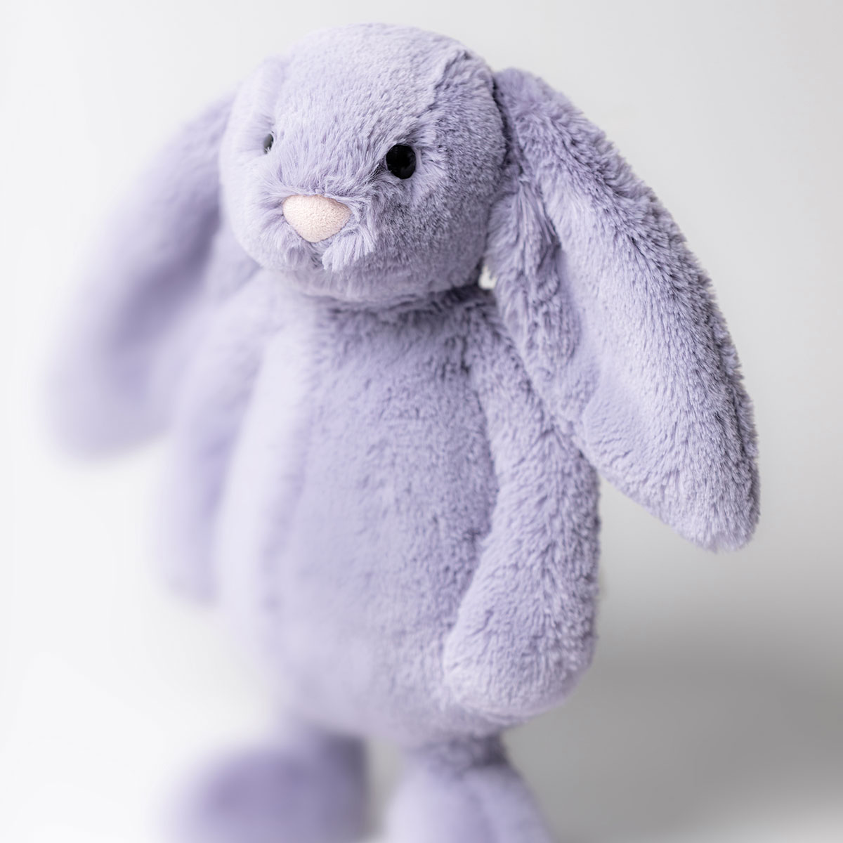 Bashful Viola Bunny - Medium