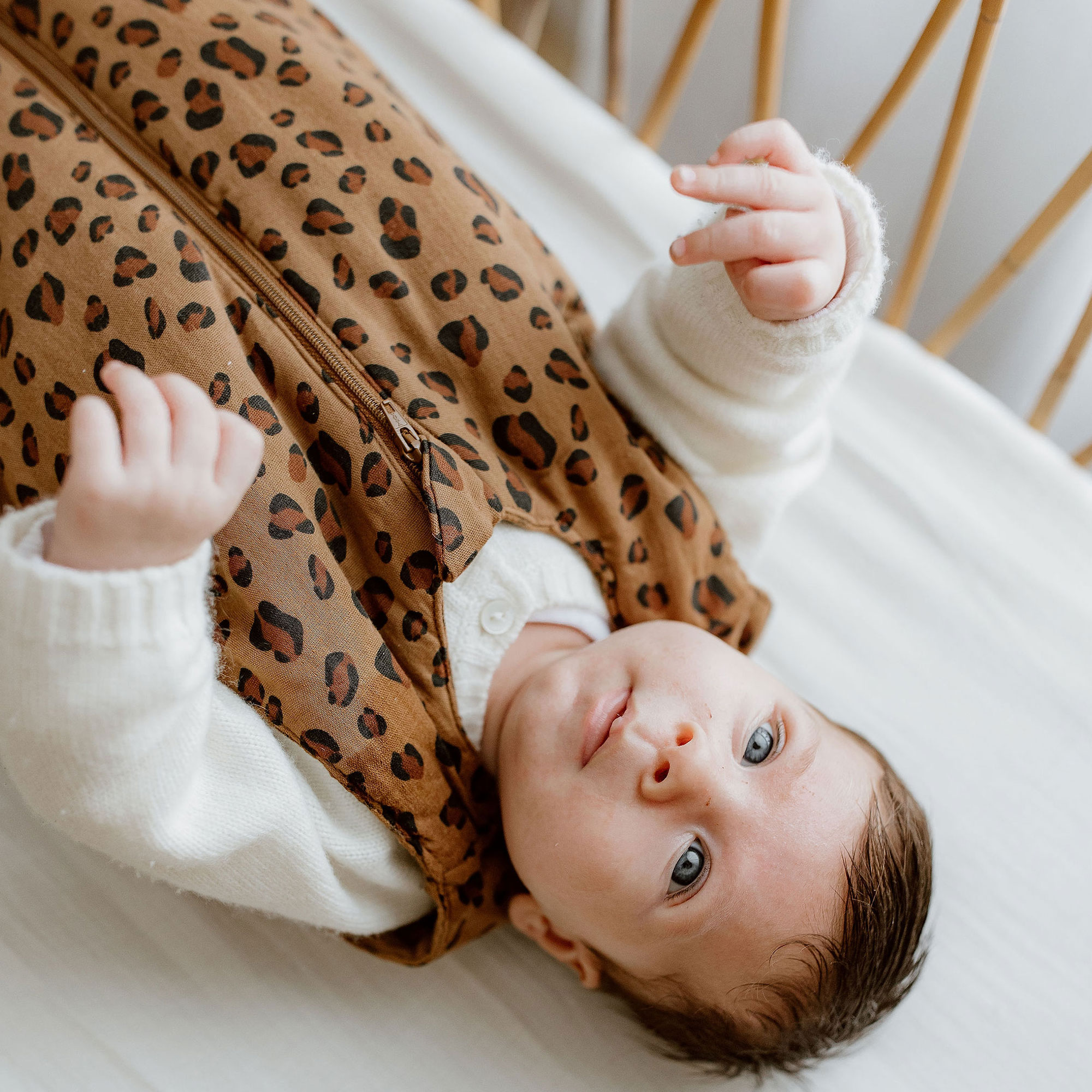 Gigoteuse Mi-saison Bengal - 6/24 Mois