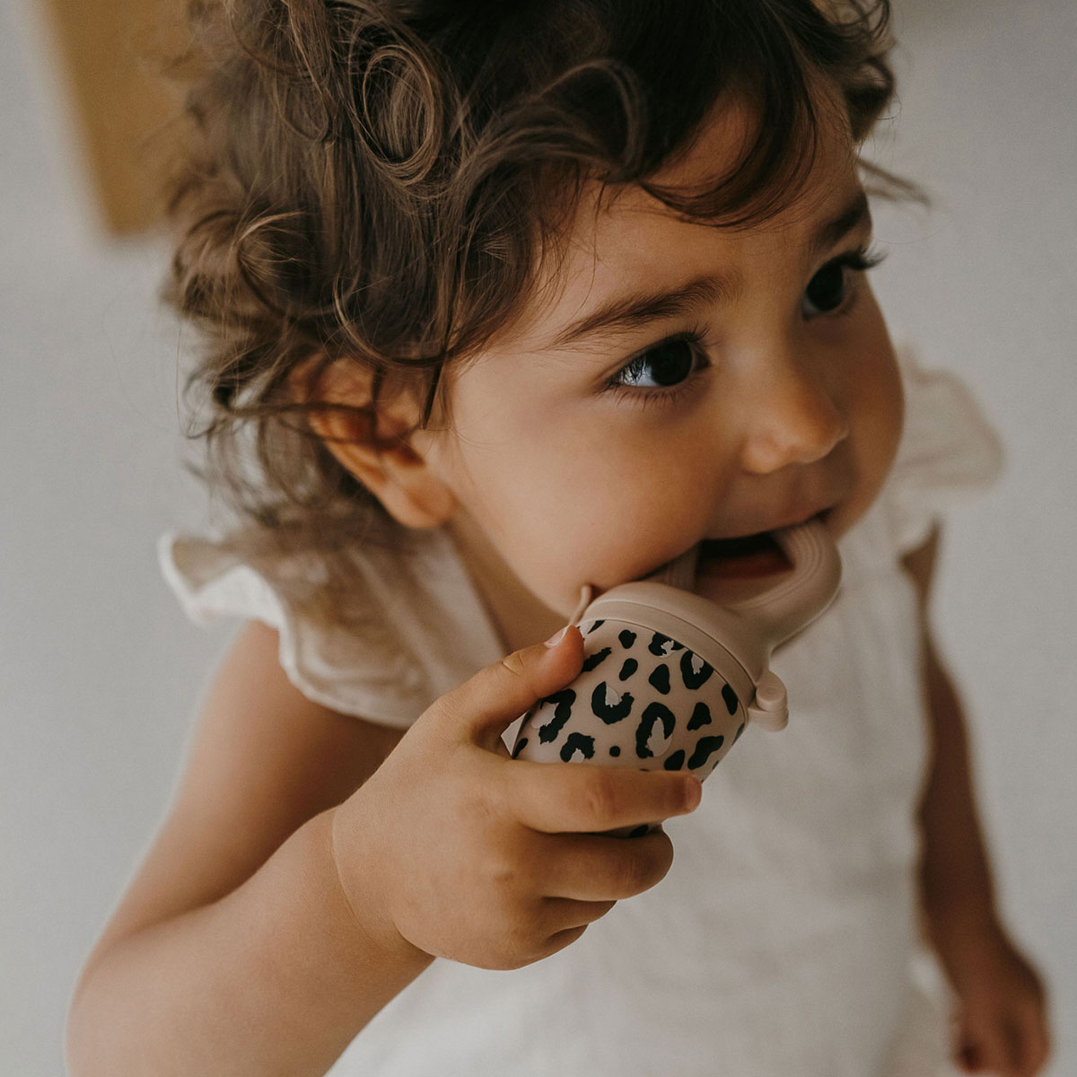 Tétine Grignoteuse Sauvage - 4/24 Mois