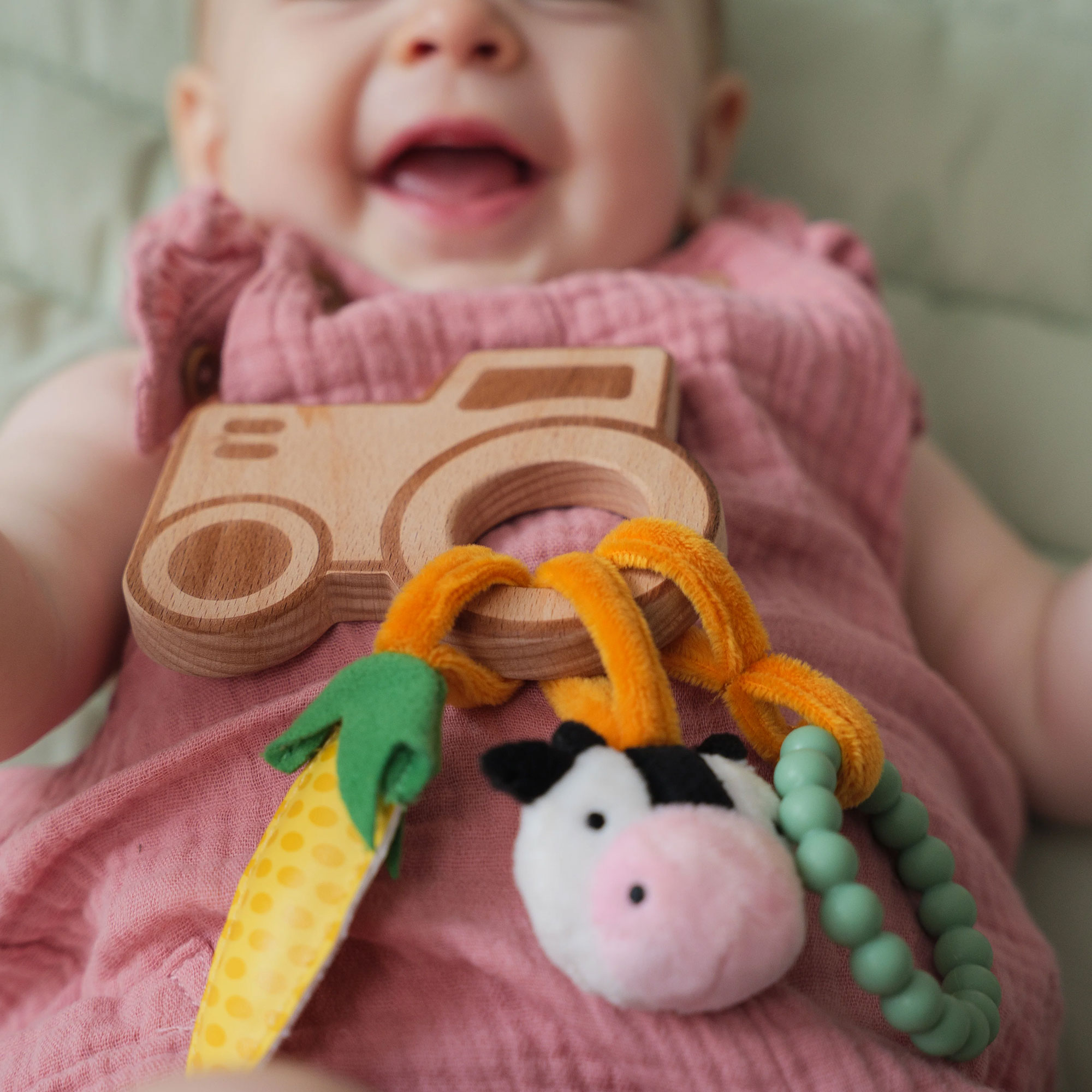 Hochet en Bois - Ferme