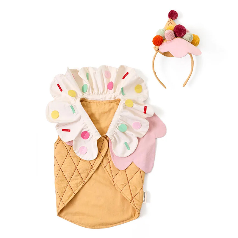 Déguisement Glace