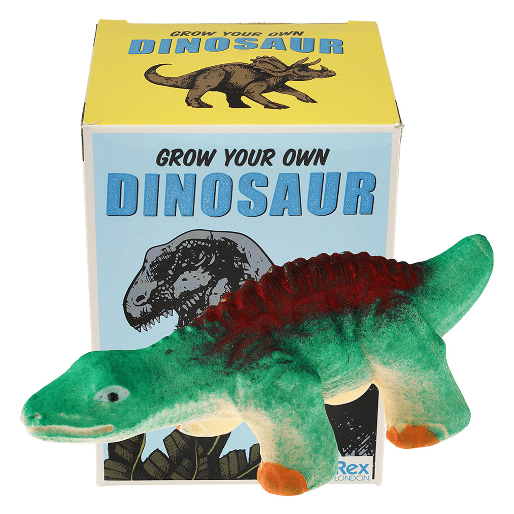 Rex London Oeuf Magique Dinosaure - Mes premiers jouets Rex London sur L'Armoire  de Bébé