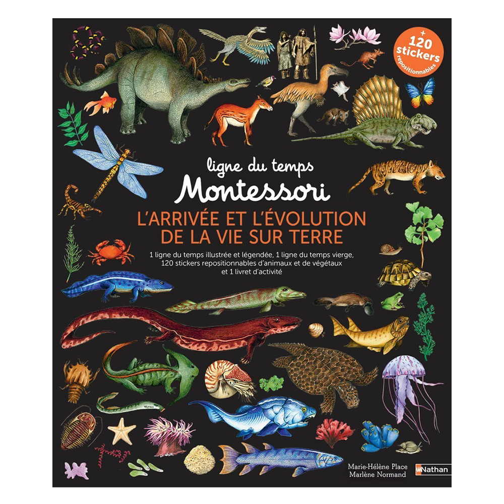 Jouets Montessori - Livraison Gratuite Pour Les Nouveaux Utilisateurs -  Temu France