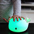 Avis Veilleuse Veilleuse Baleine Moby