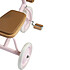 Trotteur et porteur Banwood Tricycle Trike - Rose Pale