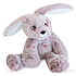 Histoire d'Ours Lapin - Sweety Mousse