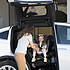 Acheter BeSafe Siège Auto iZi Twist i-Size Groupe 0+/1 - Black Cab