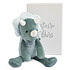 Histoire d'Ours Dino - Sweety Chou