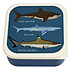 Avis Rex London Lot de 3 Boîtes - Requins