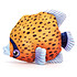 Acheter Jellycat Fishiful Orange