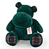 Histoire d'Ours Hippo Vert Sapin