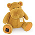 Histoire d'Ours Hippo Ocre