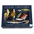 Rex London Boite de 16 Figurines Animaux de l'Océan