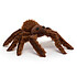 Acheter Jellycat Spindleshanks Spider - Small