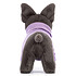 Avis Jellycat Sweater French Bulldog Purple