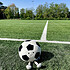 Acheter Jellycat Amuseables Sports Football