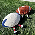 Peluche Jellycat Amuseables Sports Rugby Ball
