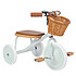 Banwood Tricycle Trike - Menthe