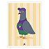 Ma petite vie Affiche Pigeon Cool