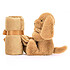 Acheter Jellycat Bashful Toffee Puppy Soother