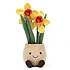 Acheter Jellycat Amuseable Daffodil Pot