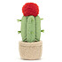 Peluche Jellycat Amuseable Moon Cactus