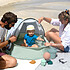 Acheter Babymoov Parc de Jeux et Piscine Anti-UV Aquani - Provence