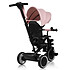 Trotteur et porteur Lionelo Tricycle Berry - Rose