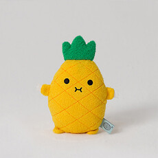 Achat Coussin Coussin Riceananas 37x32 cm