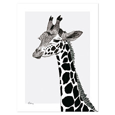 Achat Affiche & poster Serengeti - Affiche La Girafe