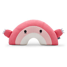 Achat Coussin Coussin Ricebow