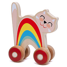 Achat Mes premiers jouets Chat à Pousser