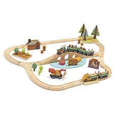 Achat Mes premiers jouets Set de Train Pins Sauvages