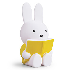 Achat Tirelire Tirelire Miffy Livre - Jaune