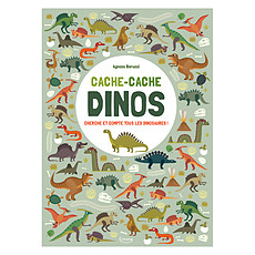 Achat Livre & Carte Cache-Cache Dinos