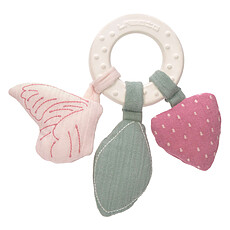 Achat Dentition Anneau de Dentition Papillon