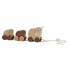 Achat Mes premiers jouets Famille de Mammouths à Tirer Neo