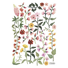 Achat Sticker Planche de Stickers Queyran - Fleurs Sauvages