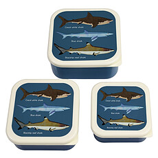 Achat Vaisselle et couverts Lot de 3 Boîtes - Requins