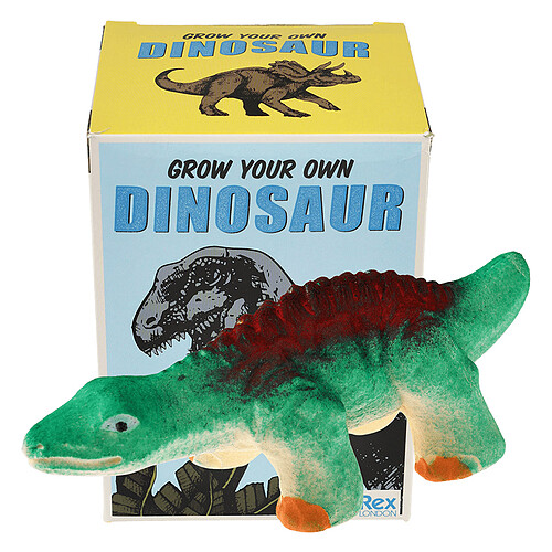 Mes premiers jouets Oeuf Magique Dinosaure Oeuf Magique Dinosaure
