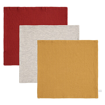 Achat Textile Lot de 3 Débarbouillettes Pure - Indian Red, Grey & Ochre