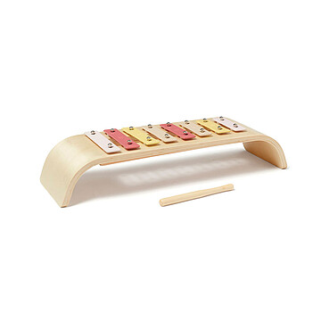 Achat Mes premiers jouets Xylophone - Rose