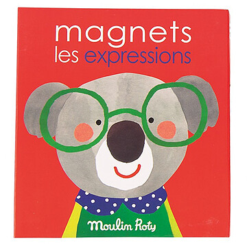 Achat Mes premiers jouets Jeu Magnétique Les Expressions - Les Popipop