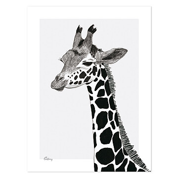 Achat Affiches et posters Affiche Serengeti - Girafe