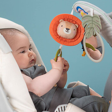 Taf Toys Tableau D'Activités Voiture Savane - Avec Miroir, Hochet Et Lumières Musicales - Pour Bébé Dès La Naissance