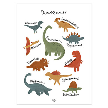 Achat Affiches et posters Affiche Dinosaur Species