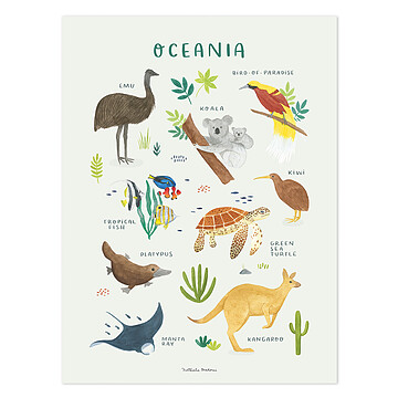 Achat Affiches et posters Affiche Oceania