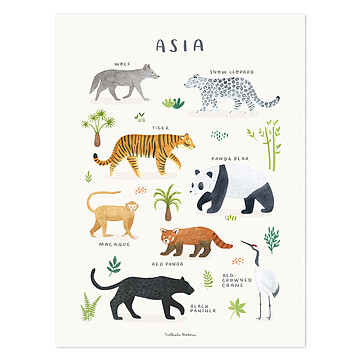 Achat Affiches et posters Affiche Animals From North Asia