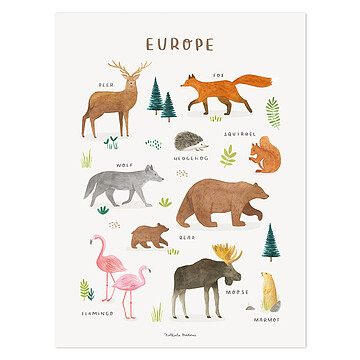 Achat Affiches et posters Affiche Animals From Europe