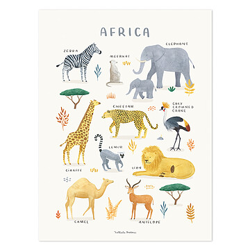 Achat Affiches et posters Affiche Animals From Africa